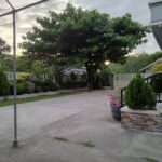 482301907 122201473220160186 2475536284743067597 N 150x150